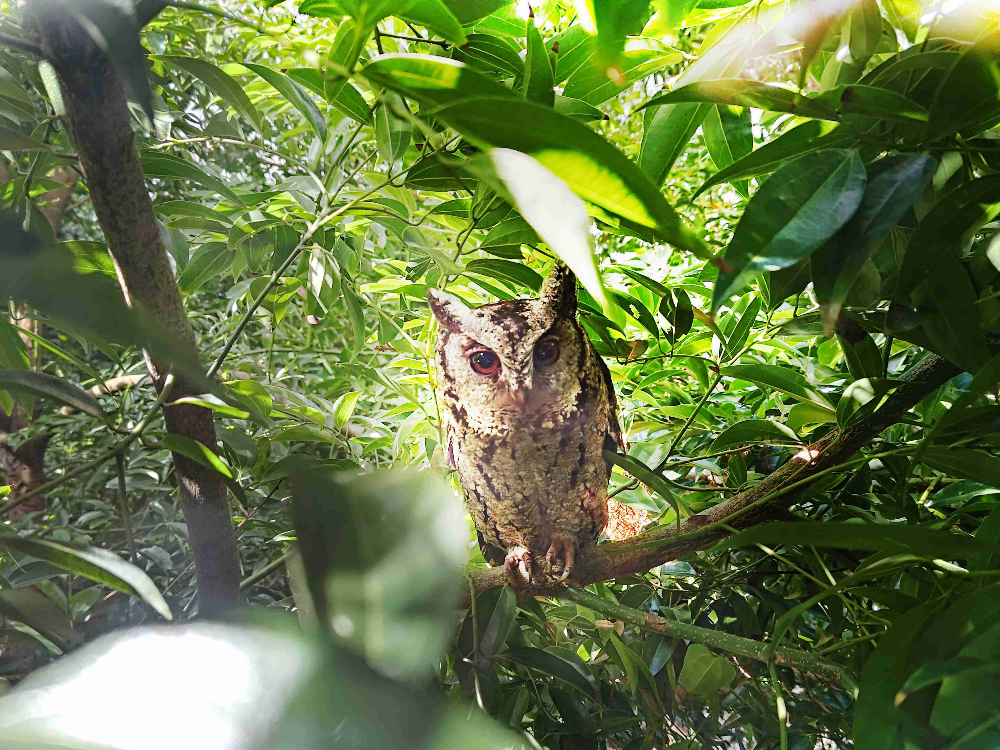 财神娱乐致力提倡净零绿生活，，，16年以来在全球各厂区植树逾百万棵，，，，造就各厂区树木蔚然成林，，犹如森林工厂，，，成为许多生物的栖息地